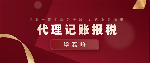 一般纳税人 一般纳税人